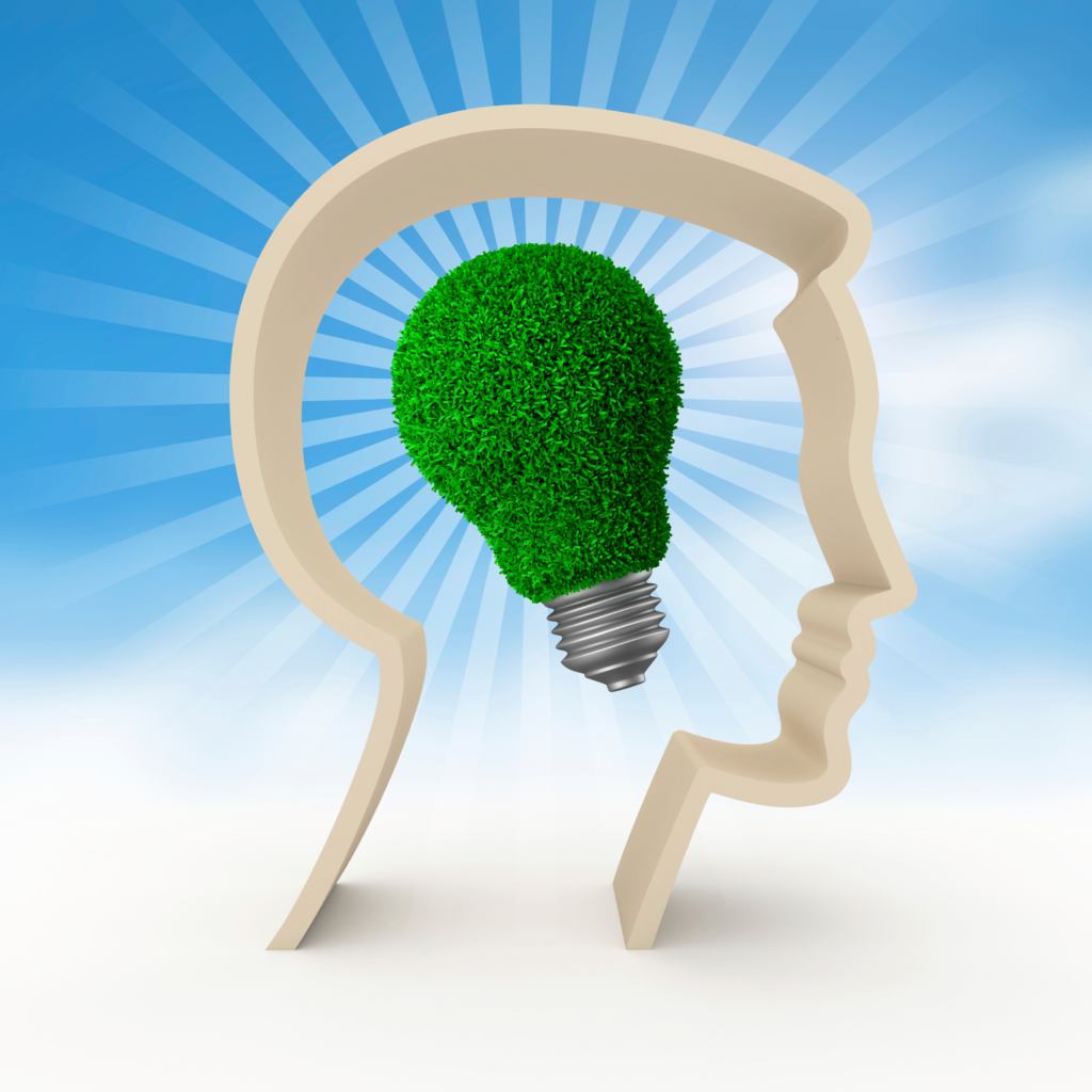 الشبيبة الخضراء المغربية – قوة الشباب من أجل بيئة مستدامة