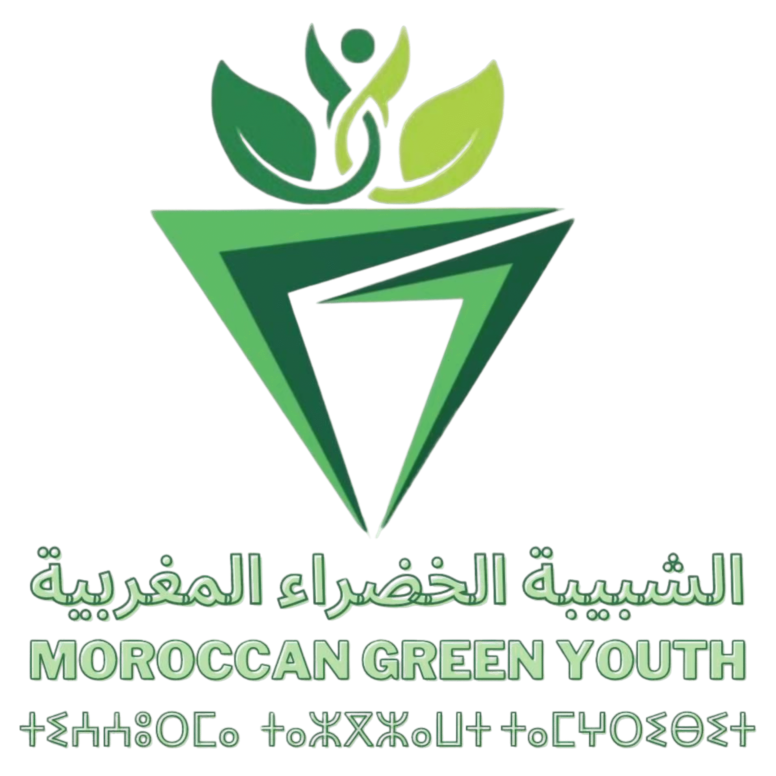 الشبيبة الخضراء المغربية – قوة الشباب من أجل بيئة مستدامة